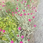 Antica Casa Occitana 3*