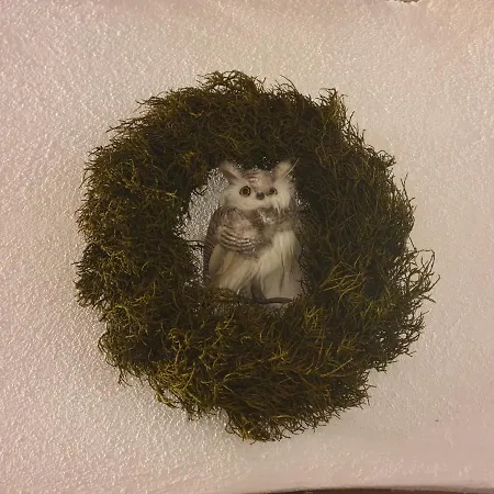 Antica Casa Occitana Sampeire