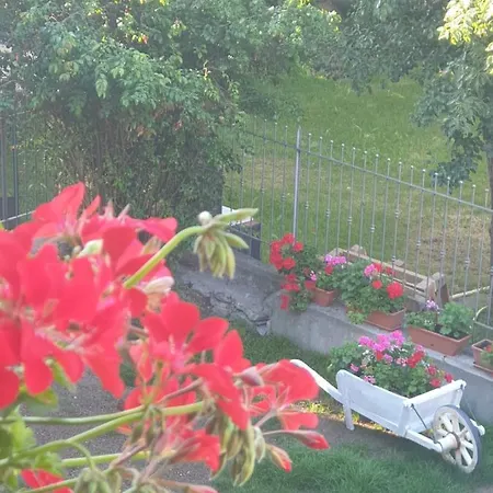 Alojamento de Acomodação e Pequeno-almoço Antica Casa Occitana 3*