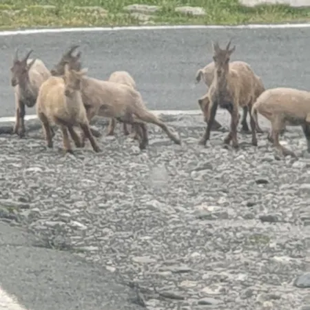 Antica Casa Occitana Sampeire