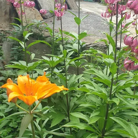 Antica Casa Occitana Alojamento de Acomodação e Pequeno-almoço Sampeire