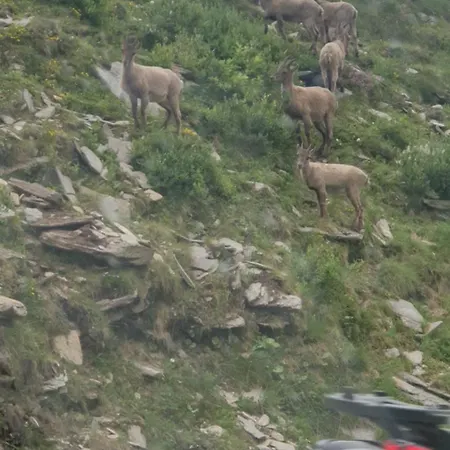 Antica Casa Occitana Sampeire
